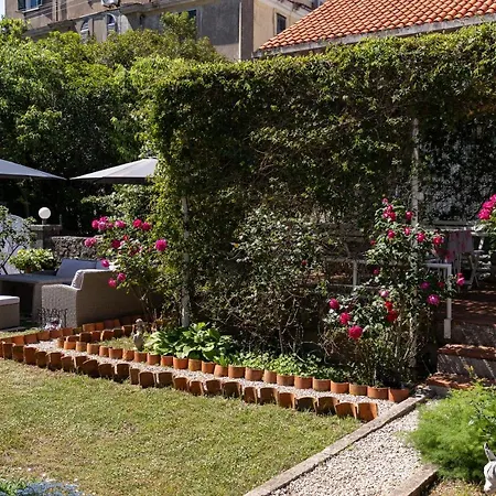 Falkoni Ii Dubrovník